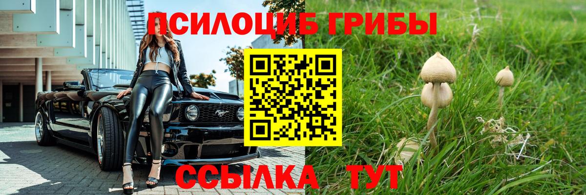 Галлюциногенные грибы мухоморы Орехово-Зуево